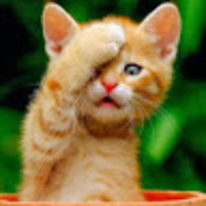 Meet your Posher, Kate